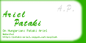 ariel pataki business card